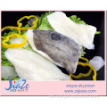 Gefrorene Meeresfrüchte John Dory Filets mit Haut